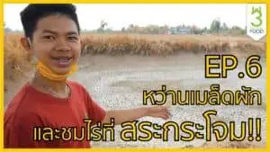 รับจัดบุฟเฟต์อาหารไทยพร้อมเสน่ห์ของอาหารไทยที่น่าค้นหา