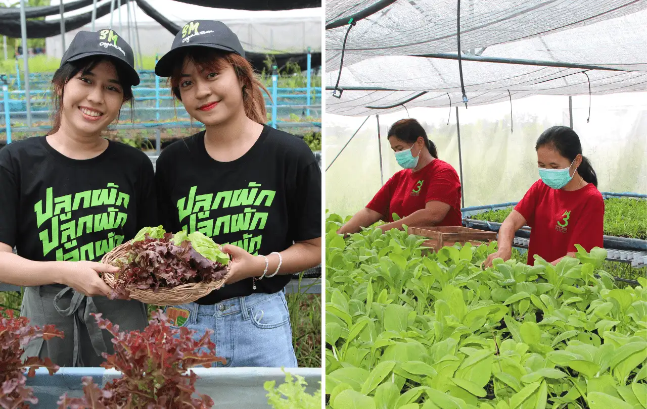 ทำบุญบ้าน ทำบุญขึ้นบ้านใหม่ พิธีทำบุญบ้าน อาหารทำบุญขึ้นบ้านใหม่ ทำบุญบริษัท