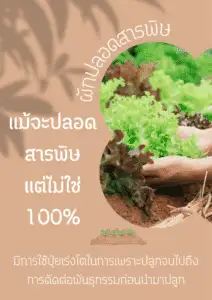 ผักปลอดสารผิด