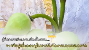 รับจัดงานบวชครบวงจร