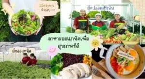 ออร์แกนิค