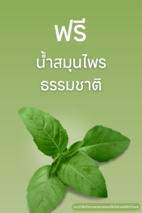 โปรโมชั่นแพคเกจทำบุญบ้าน