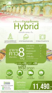 แพ็คเกจทำบุญ