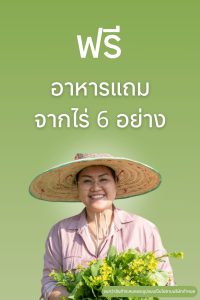 ฟรี อาหารแถม 6 รายการ