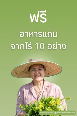 คาวฟรี 10 รายการ